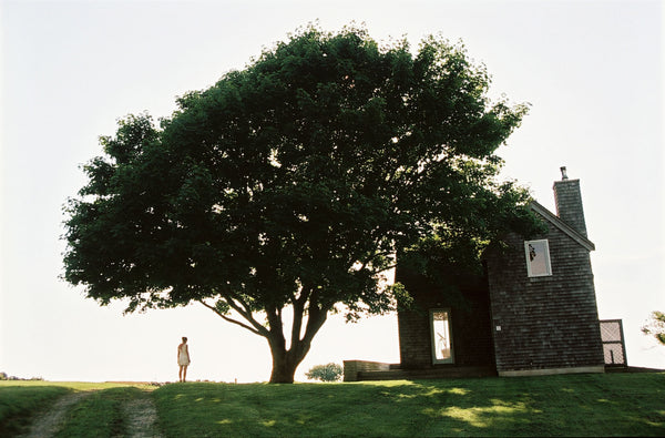 Editions & photos