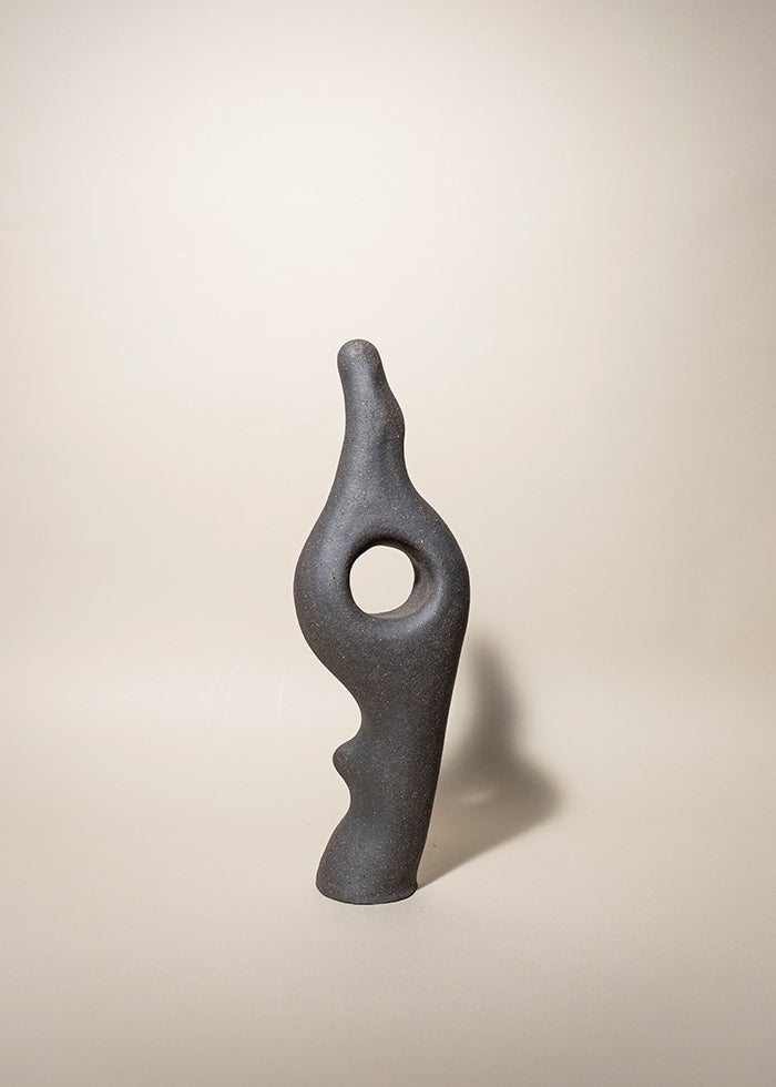 Abid Javed pleomorph sculpture