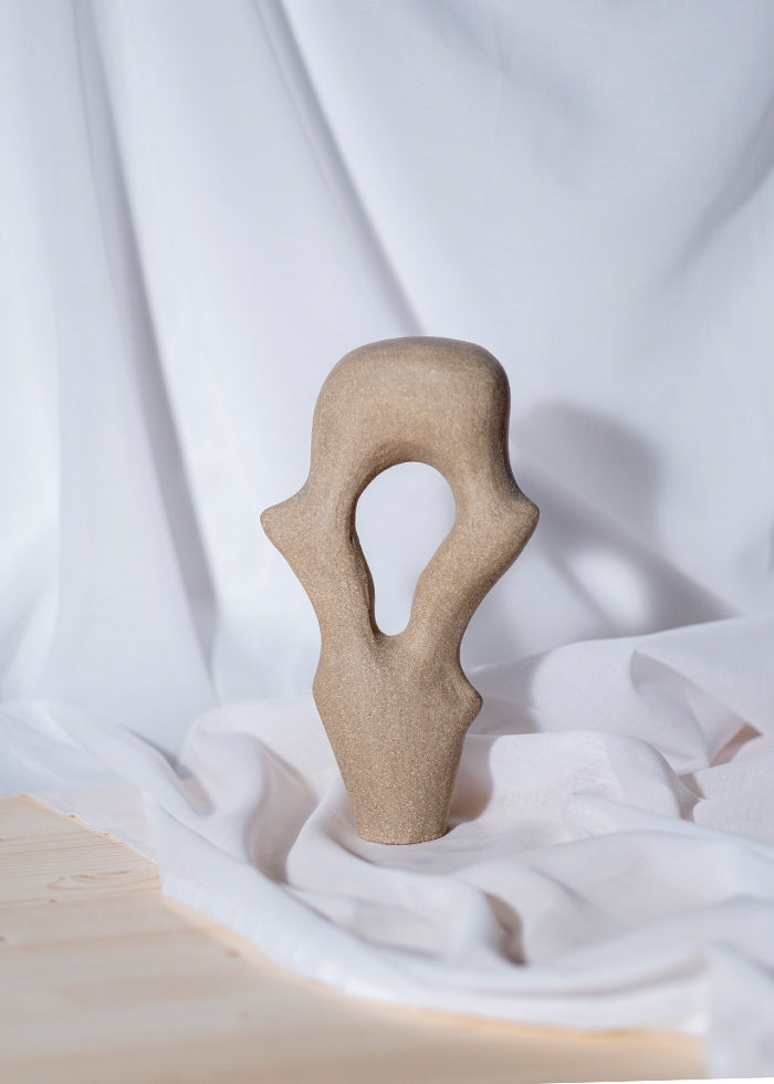 Abid Javed pleomorph sculpture