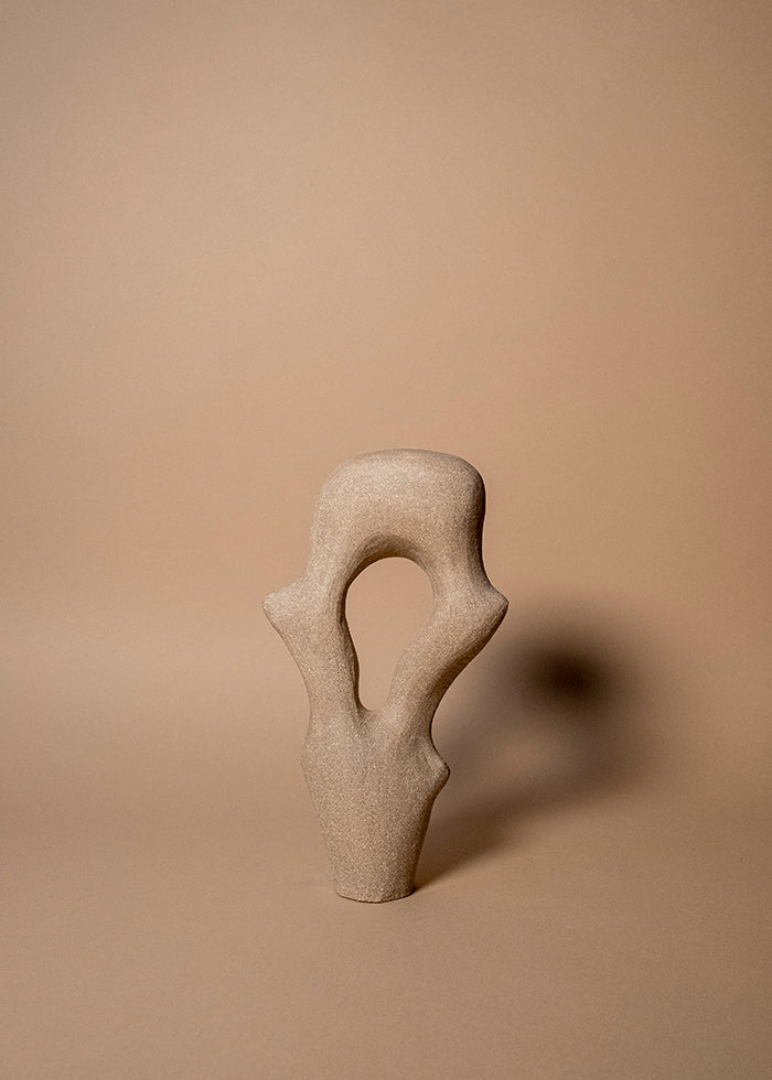 Abid Javed pleomorph sculpture