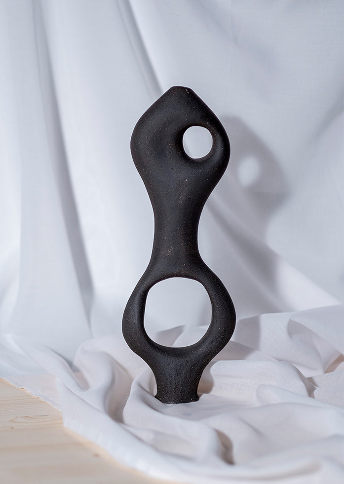 Abid Javed pleomorph sculpture