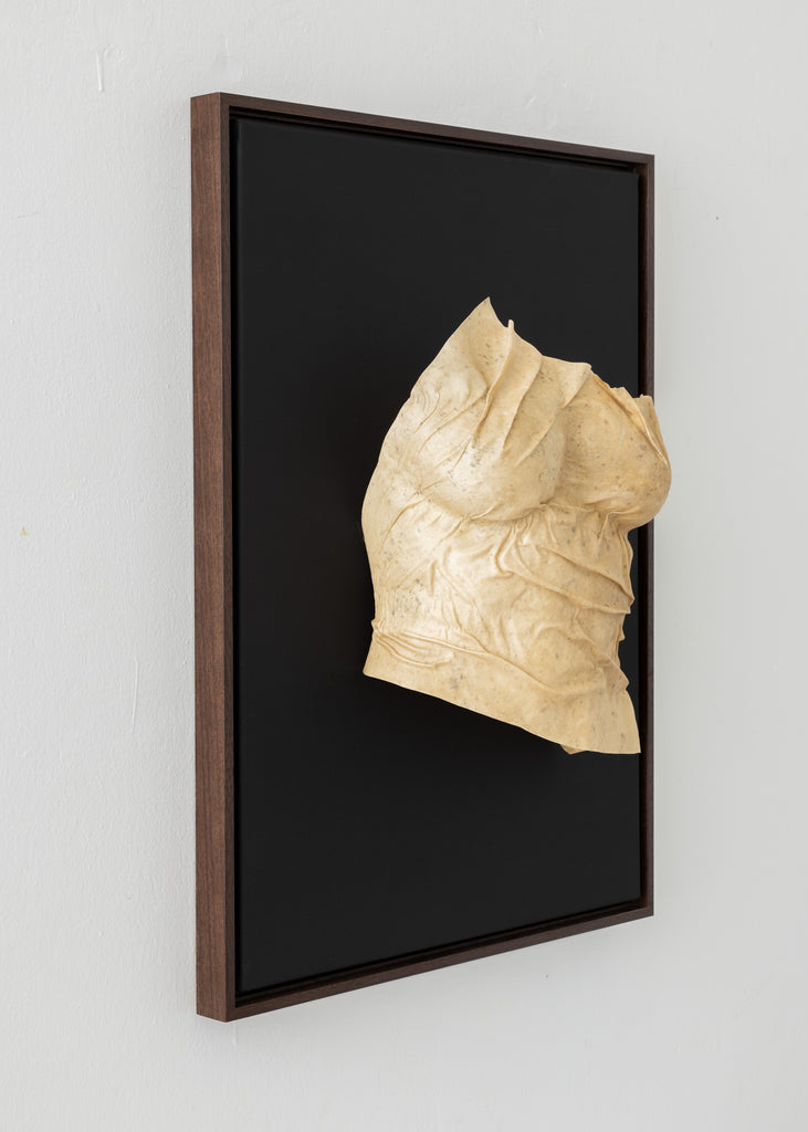 Amanda Meszaros Sculpture Sculpt Me Dear Sculptural Artwork Contemporary Modern Art Wall Art Innovative