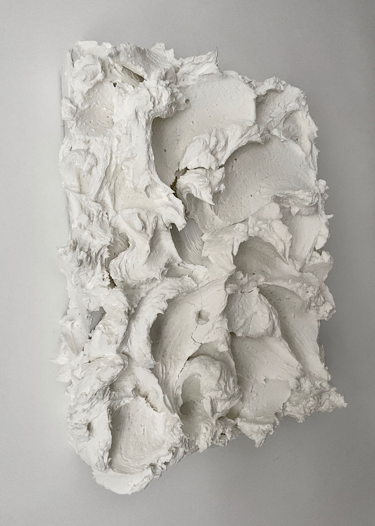 Florencia Rojas Spume White Artwork Wall Art Sculpture Texture 