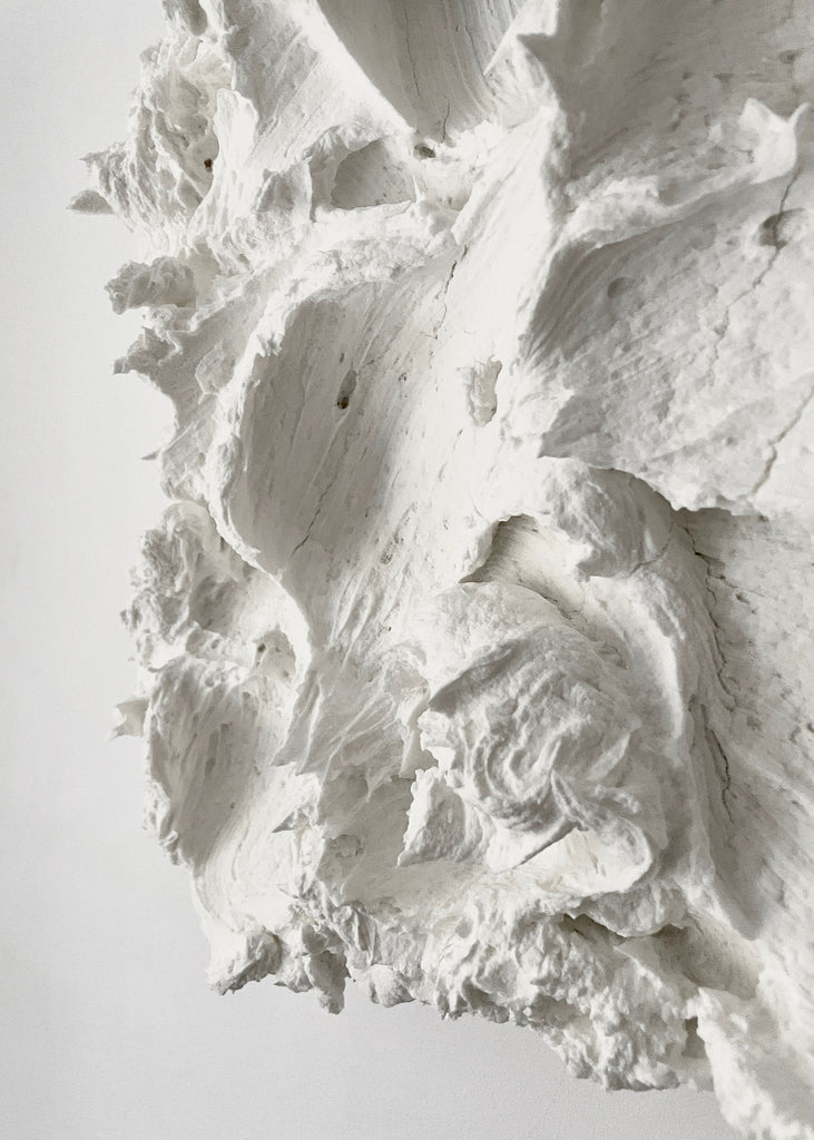 Florencia Rojas Spume White Artwork Wall Art Sculpture Texture Unique 