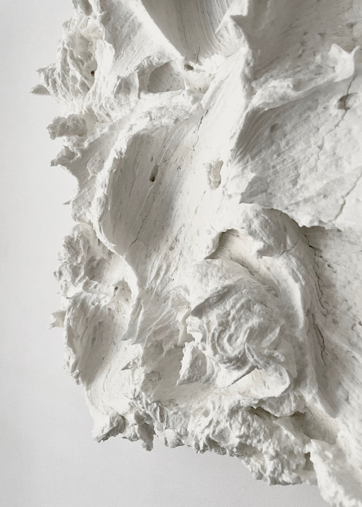 Florencia Rojas Spume White Artwork Wall Art Sculpture Texture Unique 