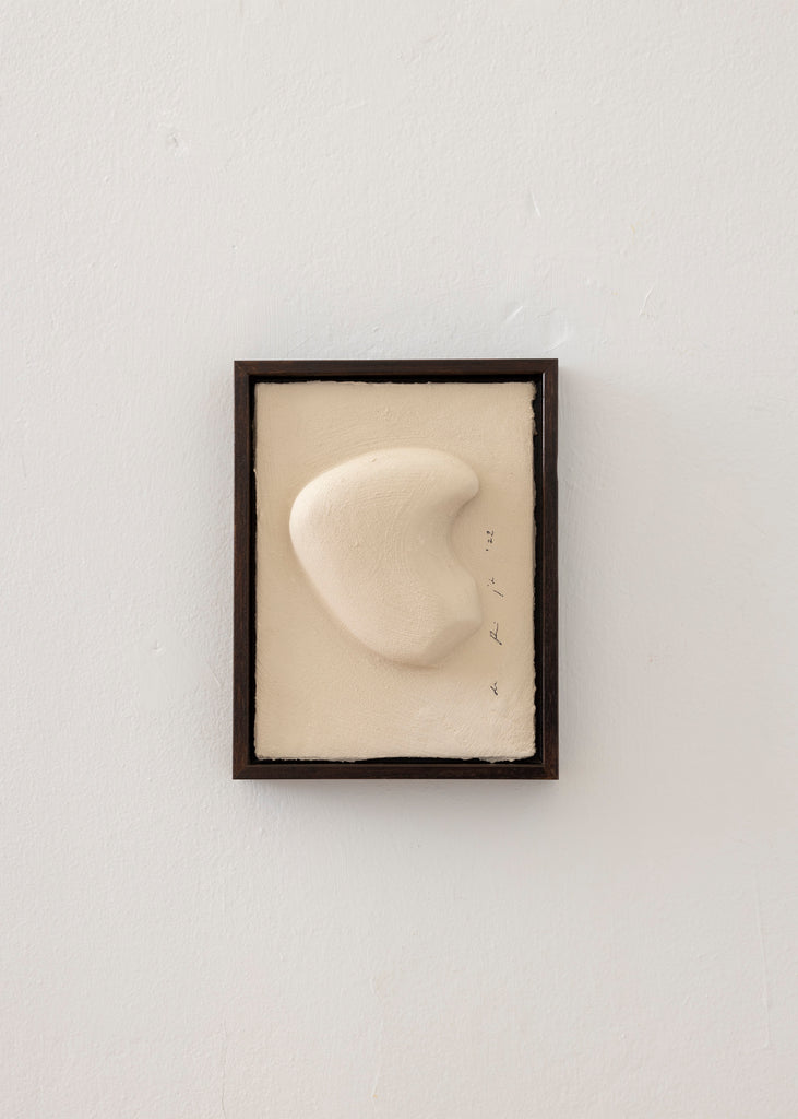 Tessa de Rijk Symbioses Framed Artwork 
