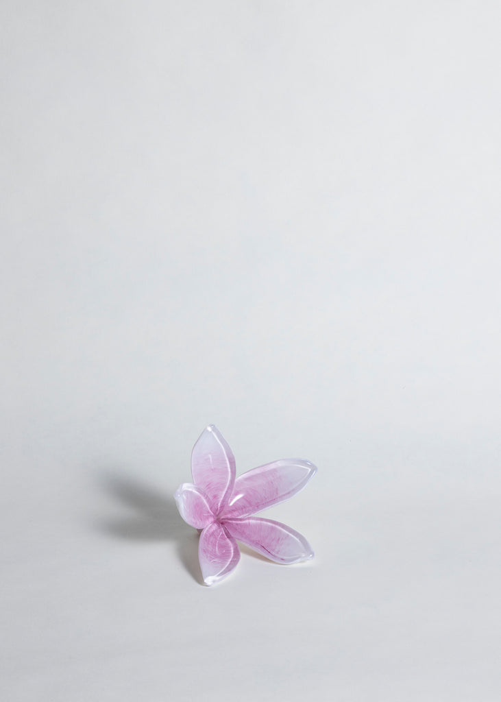 Tillie Burden Tropical Bloom Artwork Sculpture Glass Art Handmade Unique Pink Colour