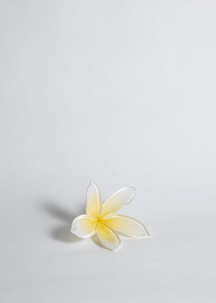 Tillie Burden Tropical Bloom Artwork Sculpture Glass Handmade Unique 